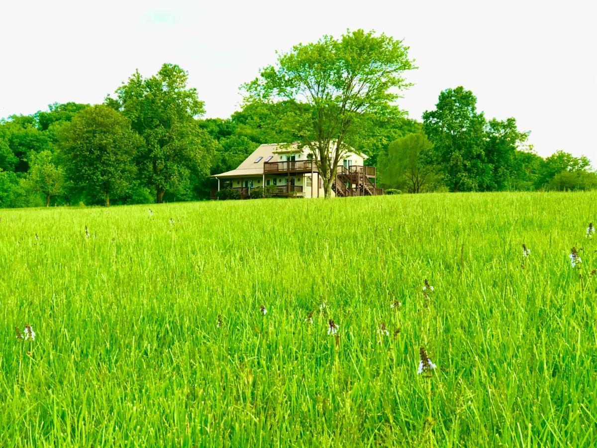 Little River Guest House At Tennessee Riverplace Chattanooga Buitenkant foto