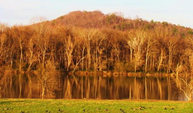 Little River Guest House At Tennessee Riverplace Chattanooga Buitenkant foto